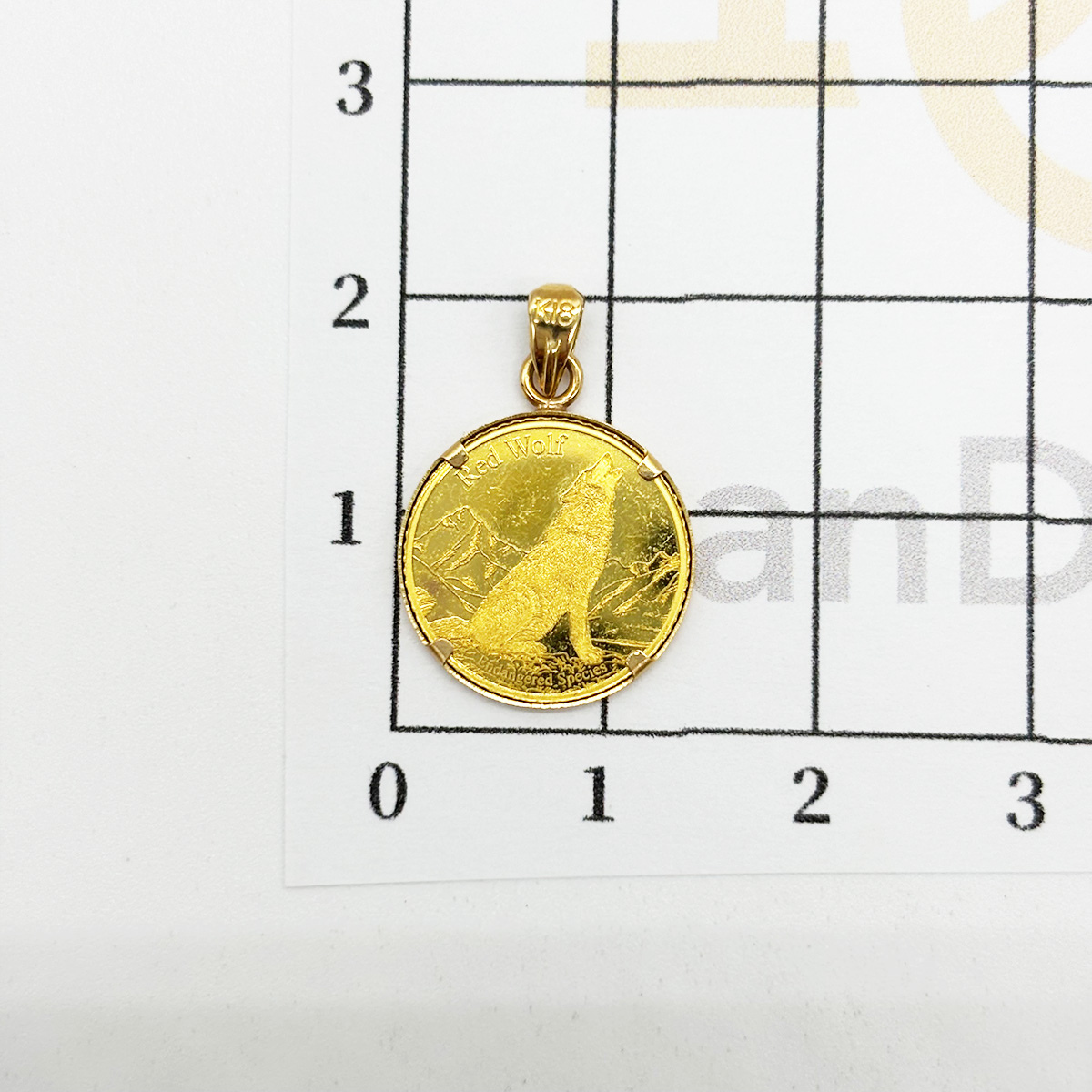 ノーブランド コイン ペンダント  【中古】10000893